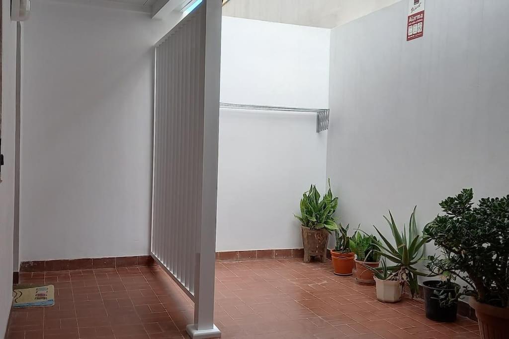 Amplio Apartamento Con Vistas Privilegiadas Garachico  Eksteriør billede